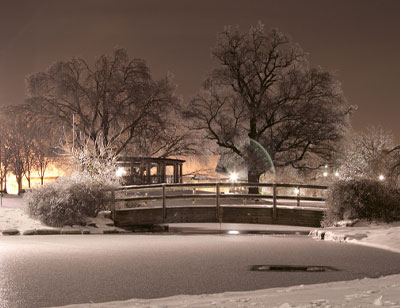 Schiller Park photo by Larry Hamill